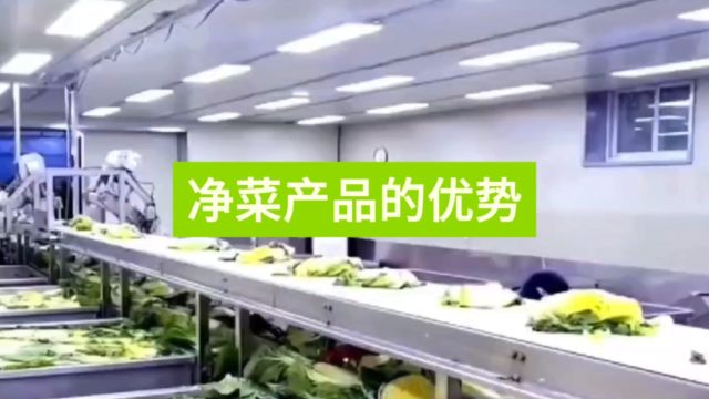 净菜产品有哪些优势?