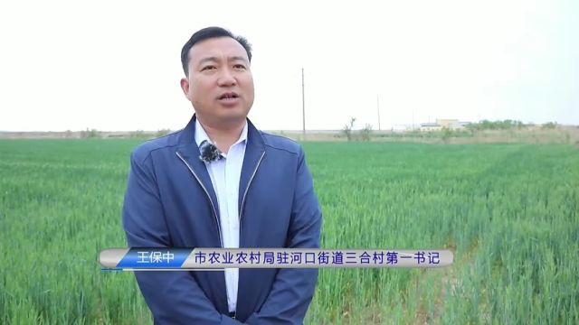 东营市河口区:“跨村联建”聚合力 打造共同富裕先行区