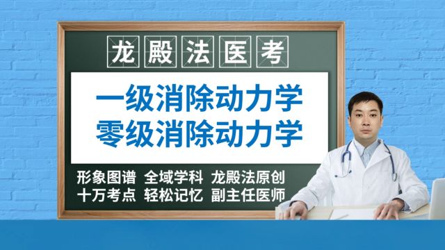 [6387]一级零级消除动力学龙殿法医考执业药师医师药理学中级职称