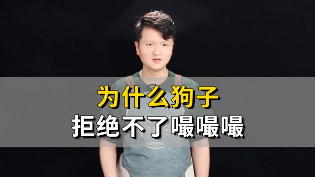 为什么狗子拒绝不了嘬嘬嘬?