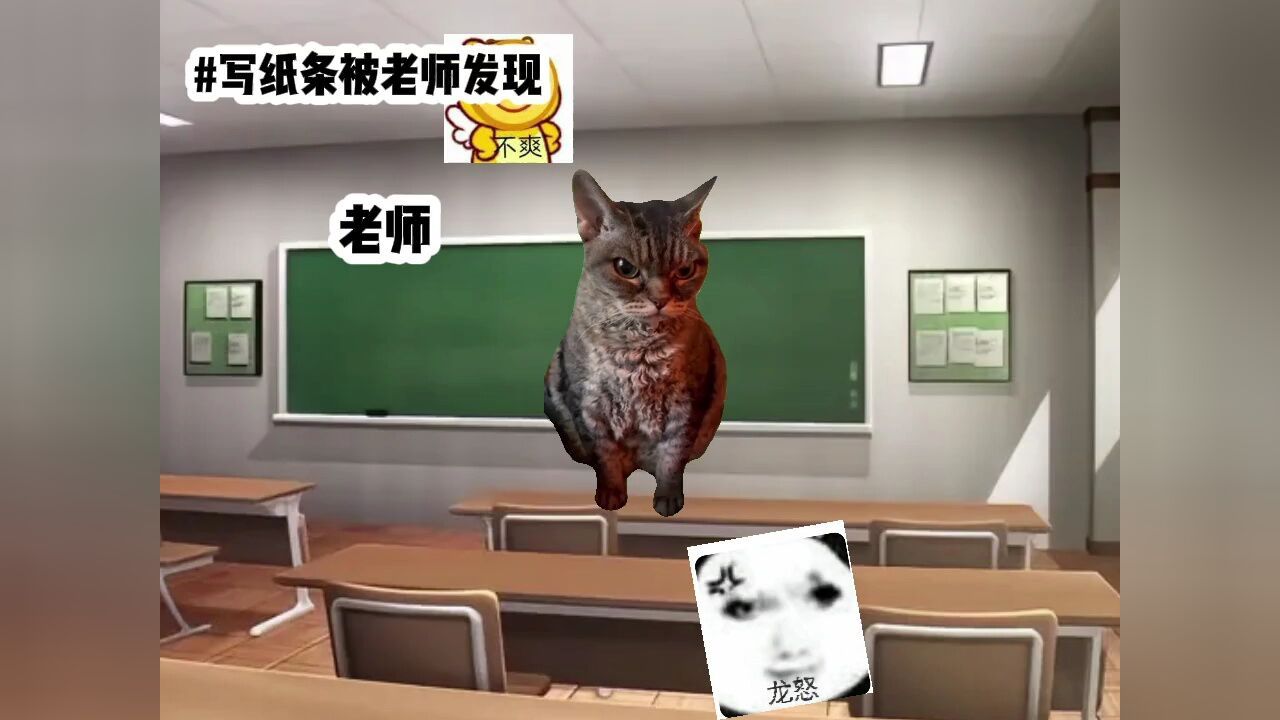 1#传纸条#猫meme的日常#猫meme小剧场_高清1080P在线观看平台_腾讯视频