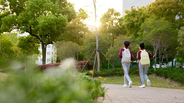 天津南开区调整小学转学和初中入学政策