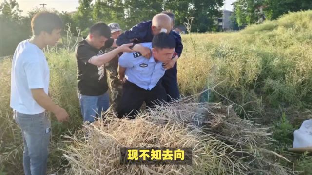 阜阳阜南公安:警民携手 找回八旬迷路老人