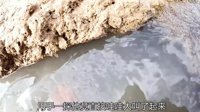 渔民潜水捕鱼收获满满 潜水