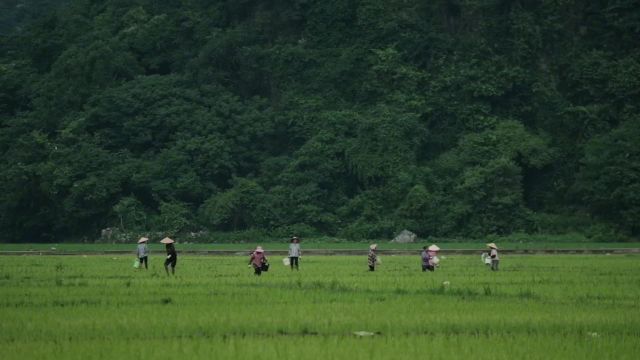 每天就这样走走停停 感受山野该多好#山野日记