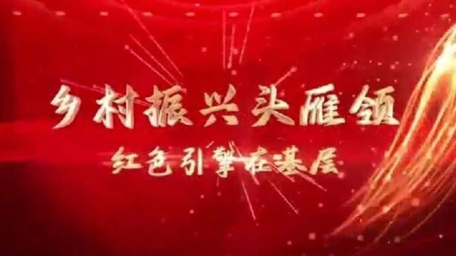 乡村振兴头雁领 红色引擎在基层——阳坊镇四家庄村党建引领乡村振兴工作纪实