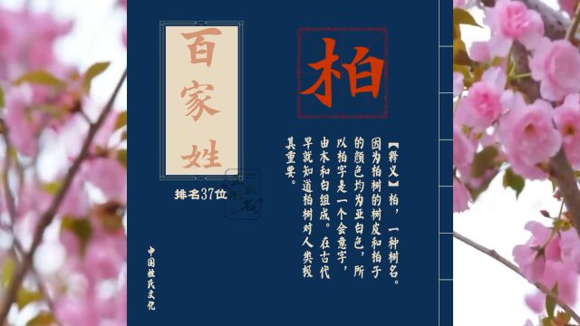 百家姓柏氏:柏姓宝宝取名参考,150个精选男女孩名字推荐