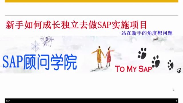 新手如何成长独立去做SAP实施项目part1