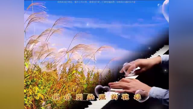 我们都是有故事的人,但我希望我的每一个故事都有你!!