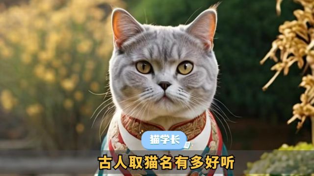 聊一聊:古代人给猫咪取的名!