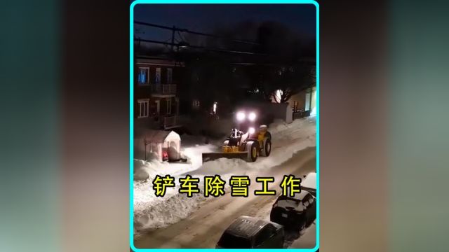 铲雪工作