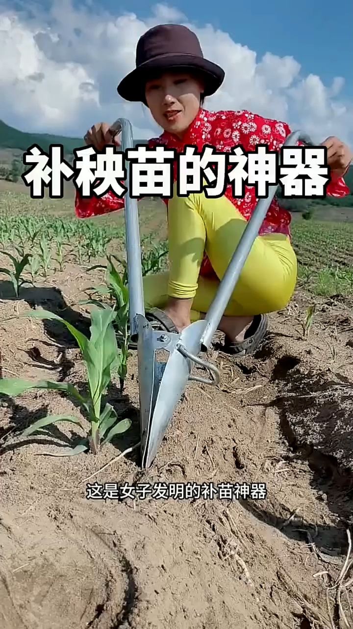 补秧苗神器