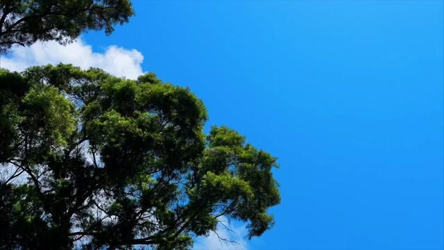 霞浦 #治愈系风景 我在霞浦天气晴