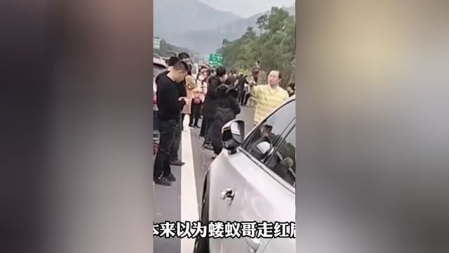 “蝼蚁哥”走红后再次骂人被拍!网友:非常好奇他的工作与背景!