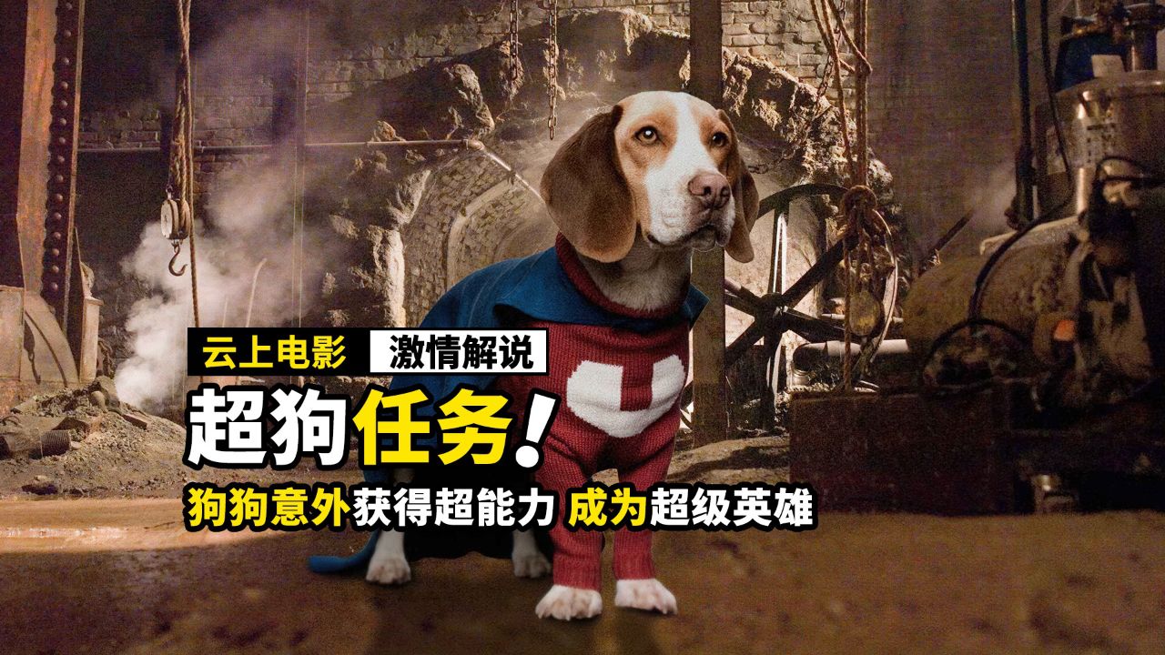 狗狗获得超能力,居然成为了超级英雄,奇幻电影《超狗任务》