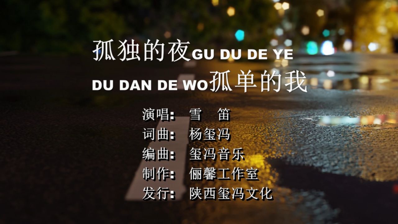 雪笛-孤独的夜孤单的我