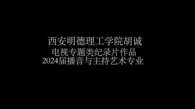 电视专题类纪录片《纪慈恩寺塔》