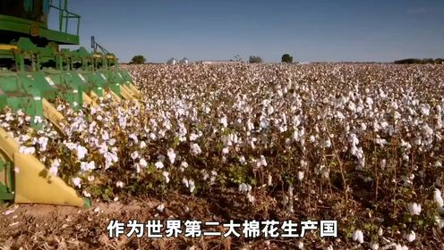 中国每年需进口200万吨棉花,却将大量新疆棉出口,到底为什么?