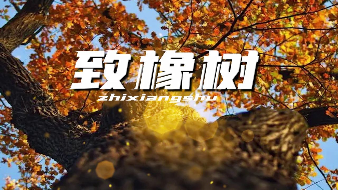 led高清朗诵致橡树背景视频 朗诵致橡树 朗读致橡树  致橡树 经典诵读