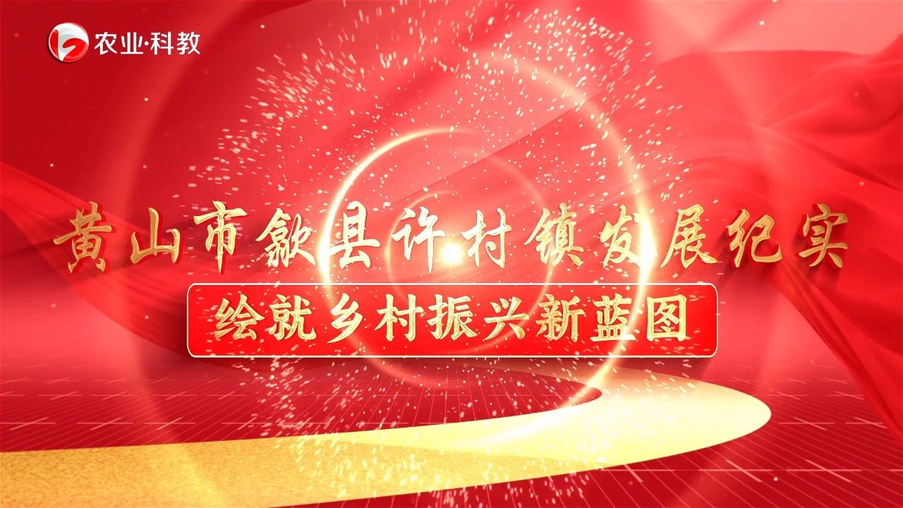 安徽农业科教频道魅力安徽报道:黄山市歙县许村镇发展
