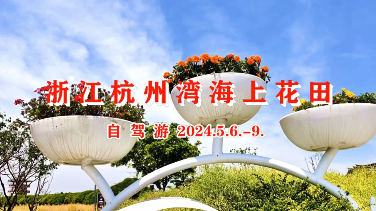 24033,浙江杭州湾海上花田