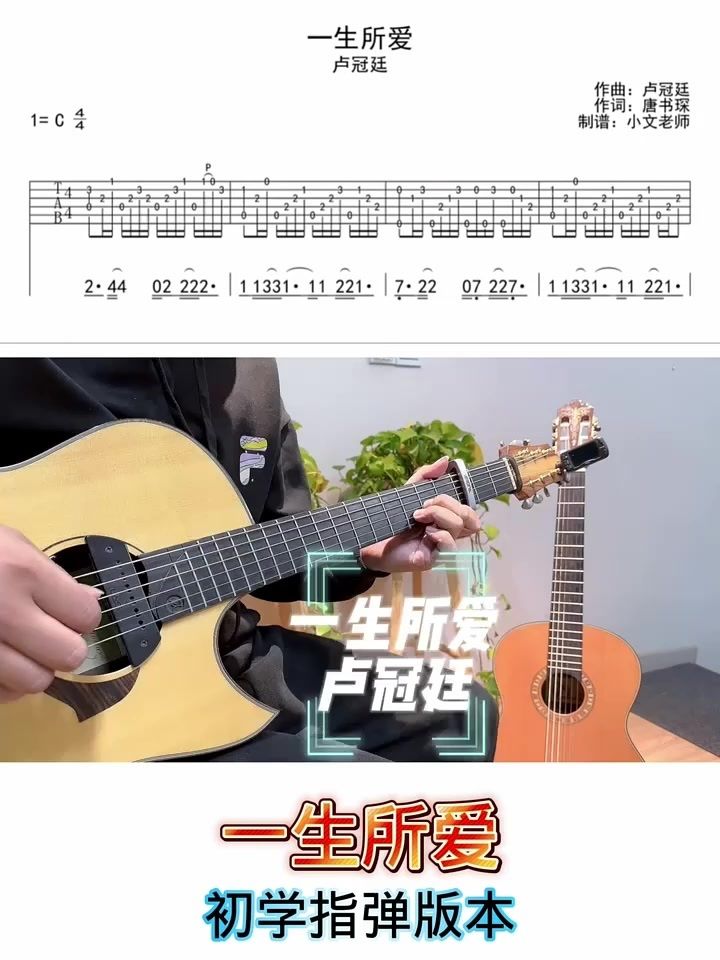 卢冠廷一生所爱初学指弹版本#吉他教学