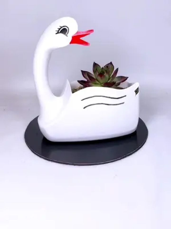 洗衣液瓶变废为宝做花盆 #手工 #自制花盆 #变废为宝 #空瓶子的妙用