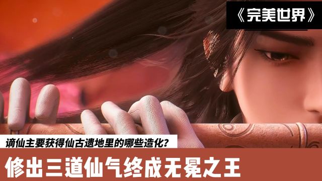 完美世界:谪仙主要获得仙古遗地里的哪些造化?修出三道仙气终成无冕之王