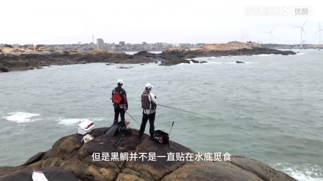 黑鲷应钓底还是钓浮?钓黑鲷的4个关键技巧