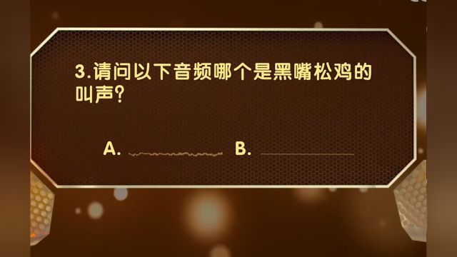 黑嘴松鸡的叫声很特别!无语伦比的求偶歌声,一起来听听看