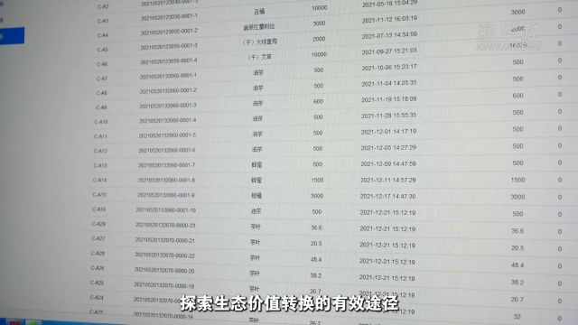 新时代中国调研行之看区域ⷤ𘭩ƒ觯‡|推动美丽中部“绿色崛起”