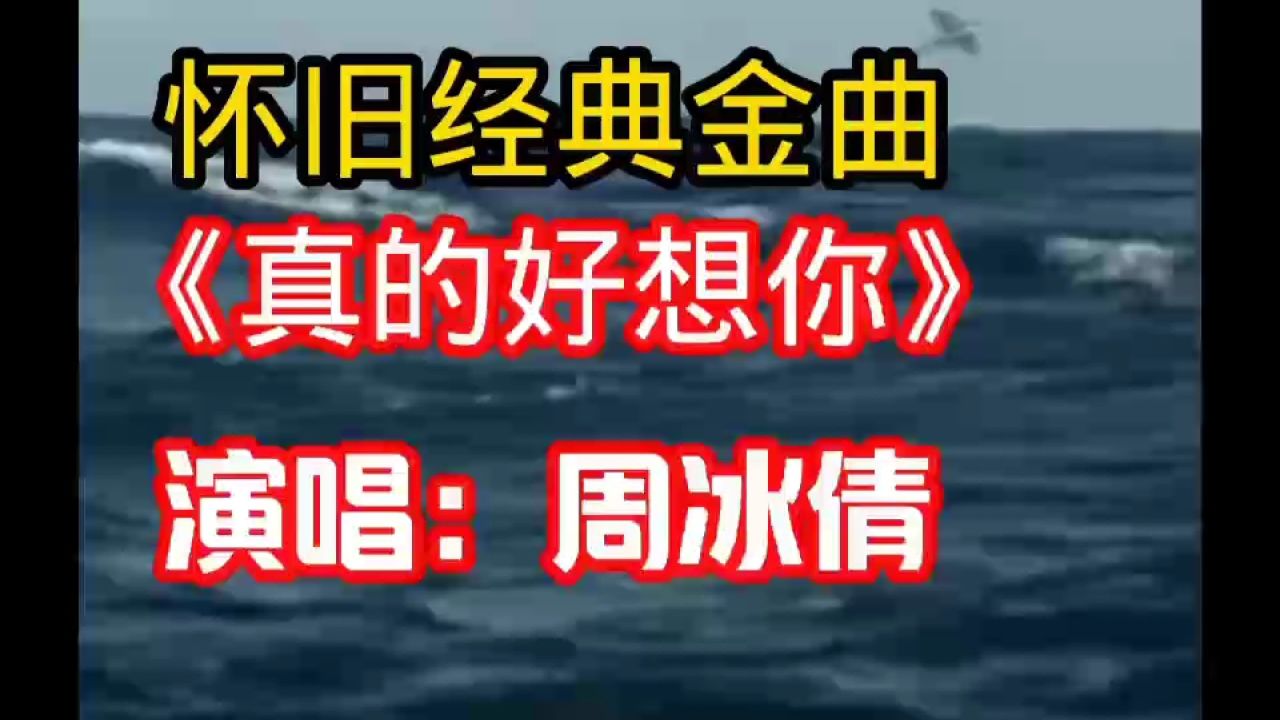 怀旧经典金曲《真的好想你》伤感情歌