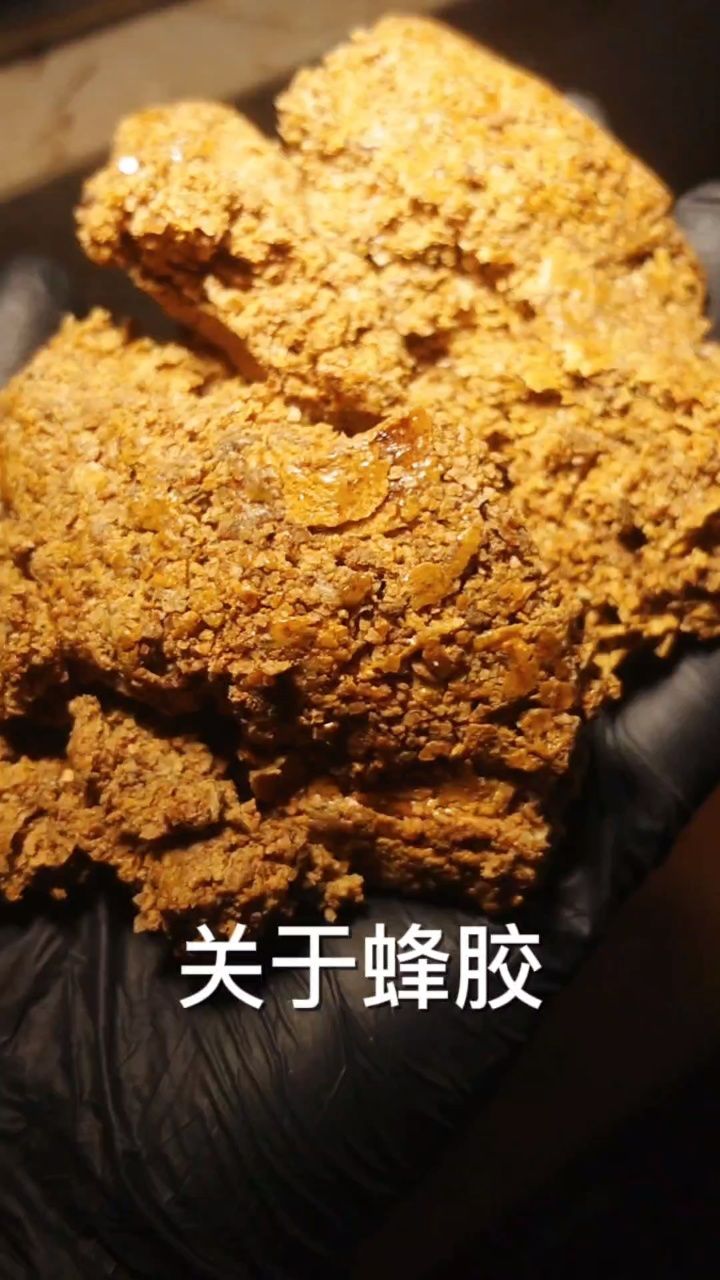 老年人吃蜂胶的坏处无铅蜂胶能不能长期吃的简单介绍