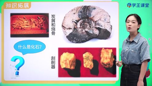 第01集第1课远古时期的人类活动_第01集第1课远古时期的人类活动_少儿_动画片大全_腾讯视频