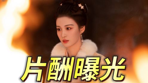 《柳舟记》网传片酬曝光：王楚然1500万登顶，黄灿灿比女二号还高