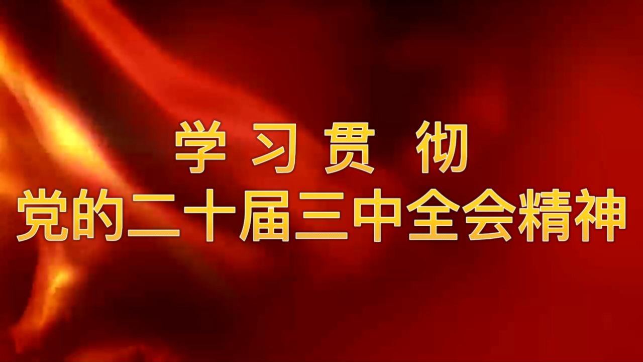 学习贯彻党的二十届三中全会精神_高清