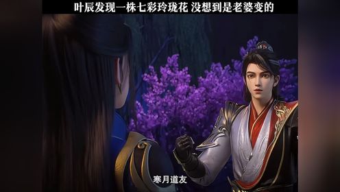 叶辰发现一株七彩玲珑花 没想到是老婆变的
 国漫：仙武传