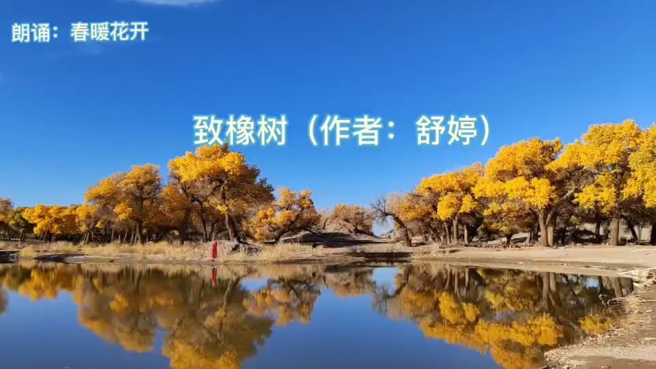 春暖花开朗诵:《致橡树》