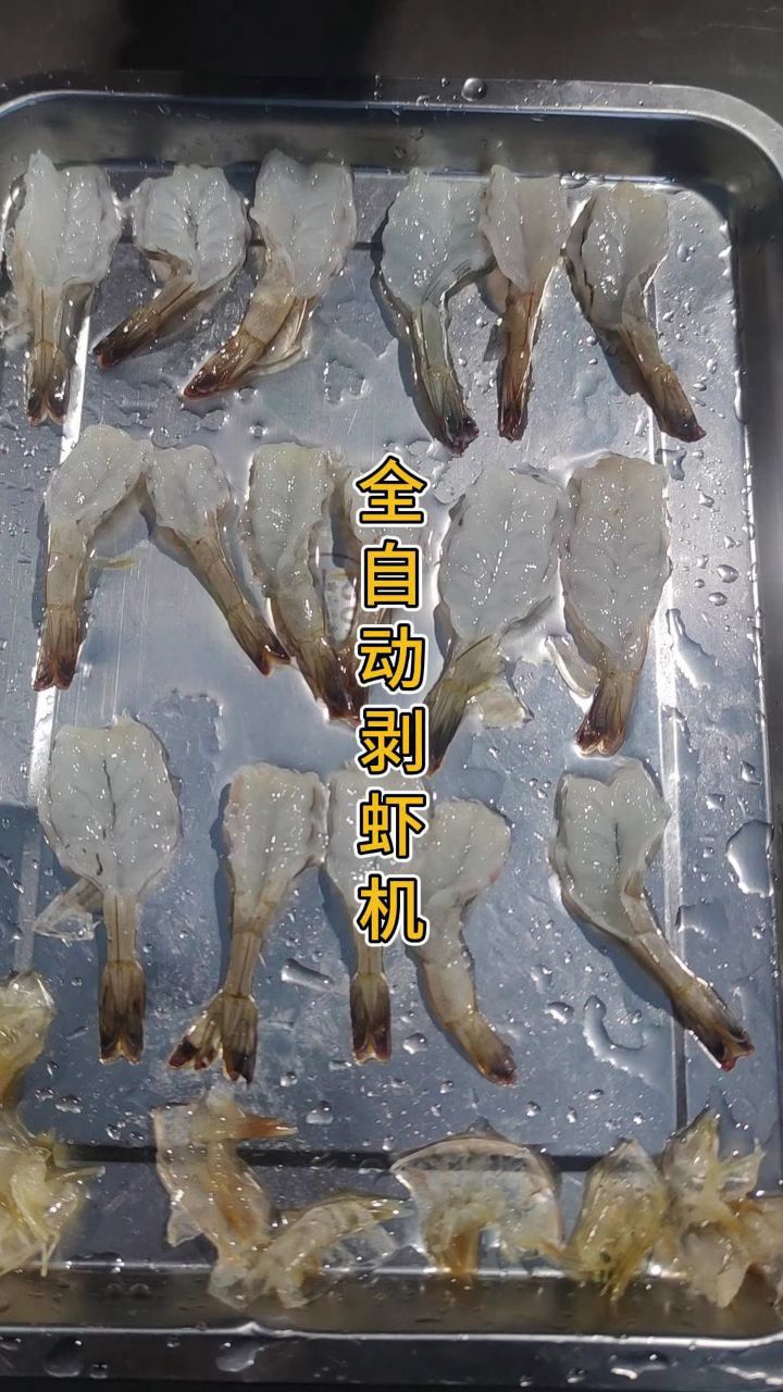 自动剥虾机,可以对不同种类大小的虾进行去壳,开背,去虾线#剥虾机#去