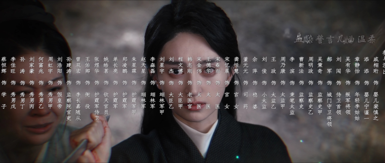 权宠 2集