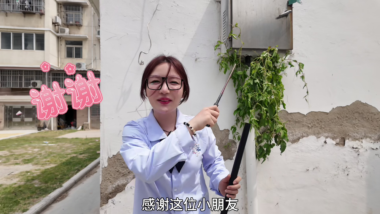 尼可姐姐的玩具屋 9集