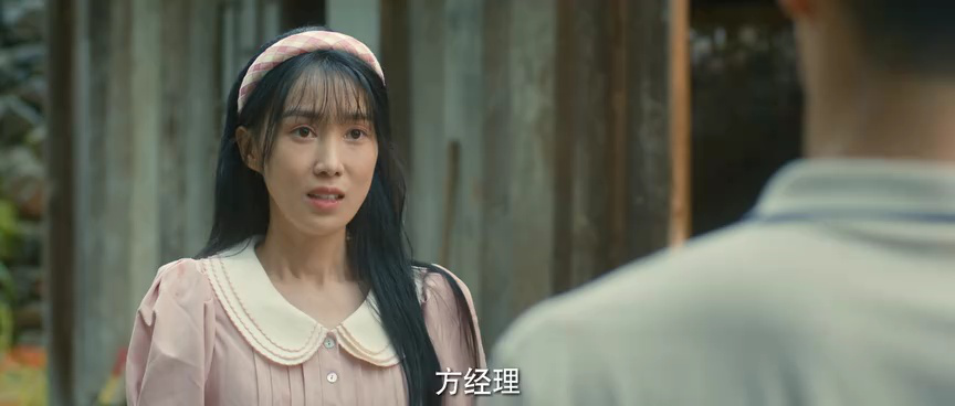 春风燃情 12集