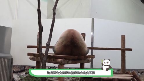 腾讯视频