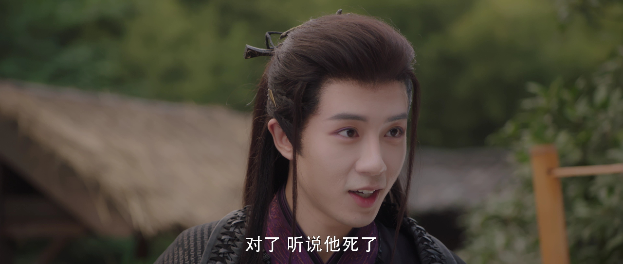 公子无双 19集