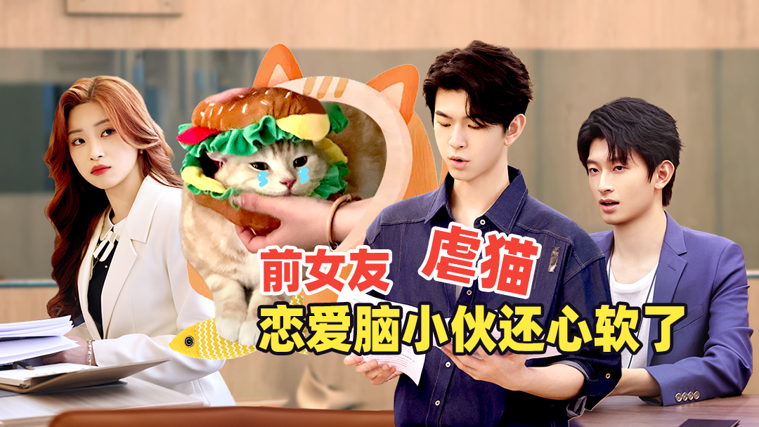 第3期下：实习生联手拯救被虐小猫