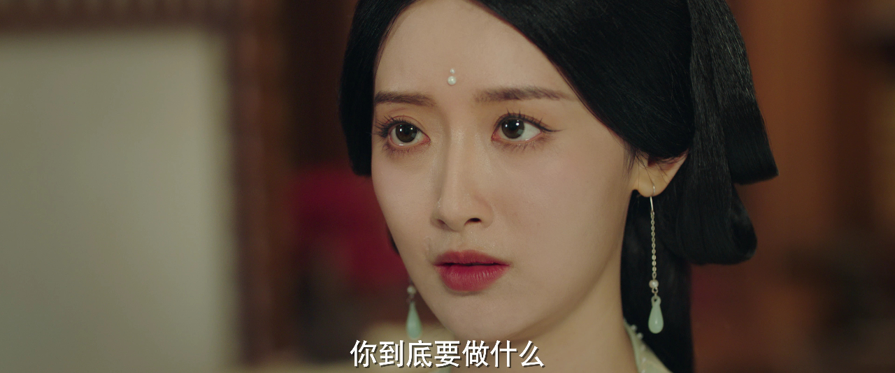 进阶的王妃 11集
