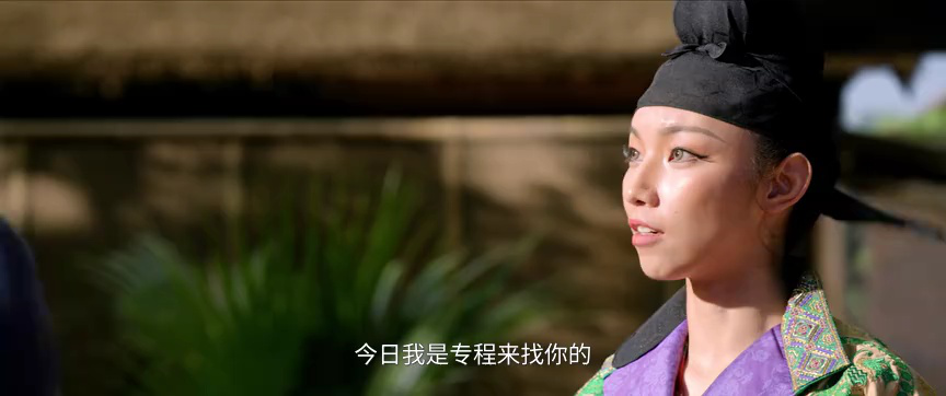长安的荔枝 30集
