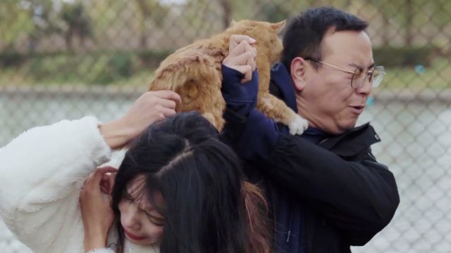 猫过敏的管家意外成抓猫“圣手”:因理解年轻人对宠物的爱