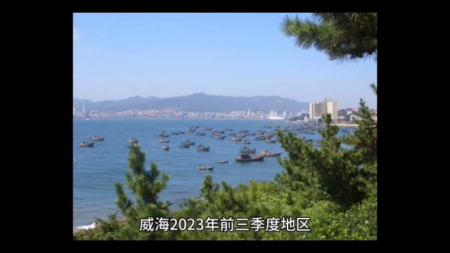 2023年19月威海各地GDP表现,荣成保持增速,文登进步明显