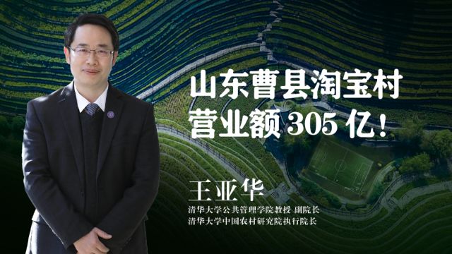 山东曹县淘宝村营业额305亿!清华教授:乡村振兴成功路径之一